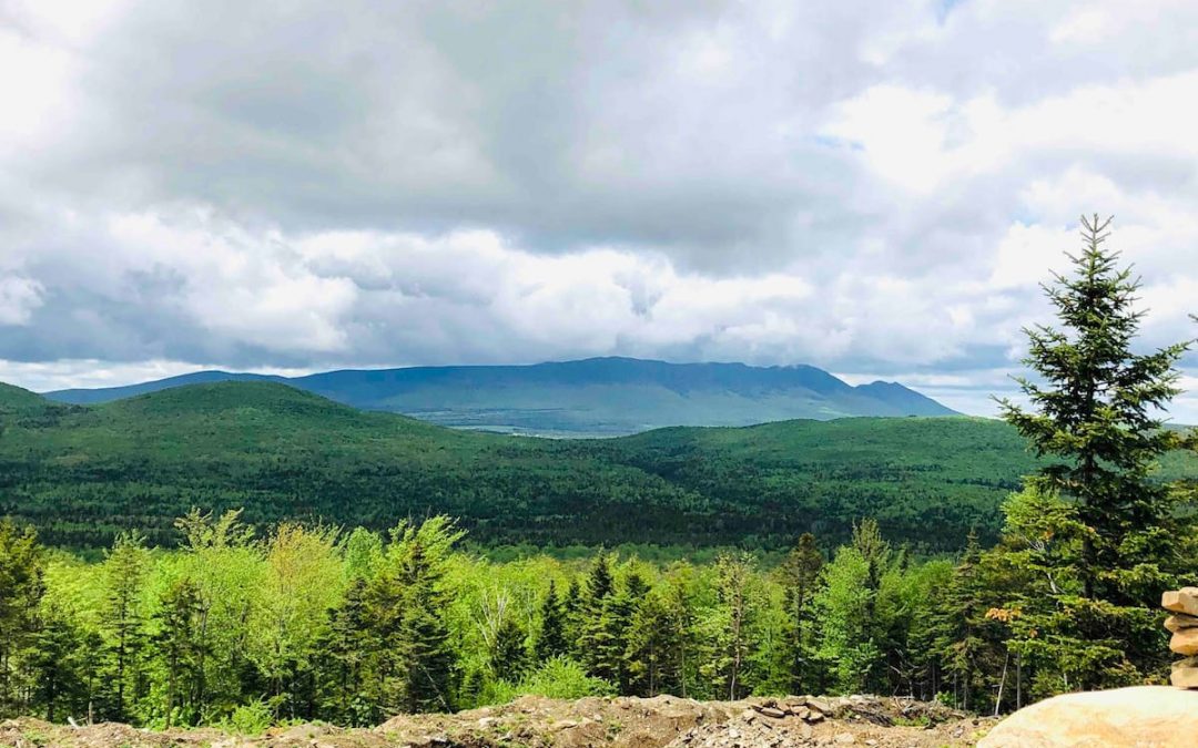 Activités – MOntagne