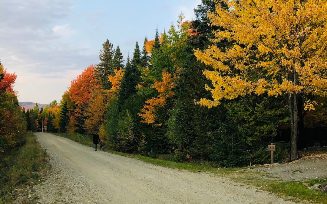 Activités – Route